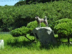 孤島の野犬像